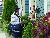 Letter Carrier - 2