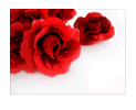 Example of a scented Adcard campaign