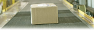 Parcel on a conveyor belt