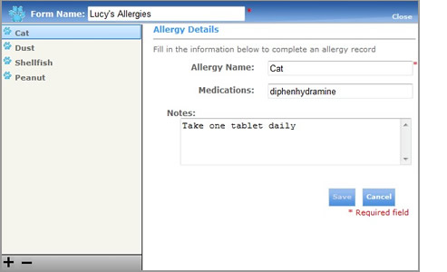 Allergies Form