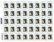 Full Sheet