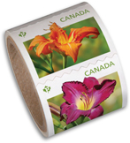 Stamp rolls