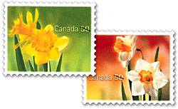 Canada Post delivers spring... and hope, with daffodil stamps