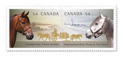 Hold your horses... Canada Post honours the Canadian Horse and the Newfoundland Pony