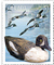 Duck Decoys