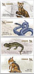 Endangered Species