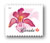 Canadian Wildflower Definitive