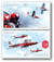 Canadian Forces Snowbirds: 1971-2006