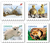 Definitives: Baby Wildlife