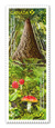 International Year of Forests