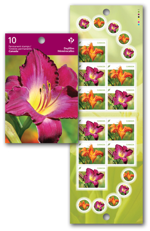 Daylilies