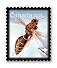 Beneficial Insects