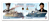 Canadian Navy: 1910-2010