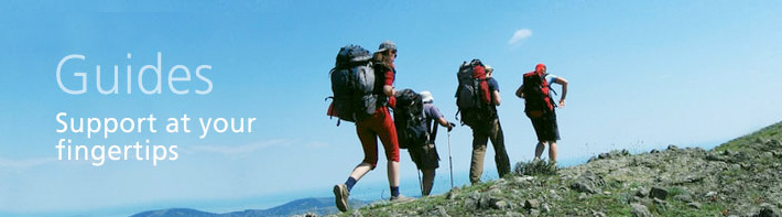 Guides