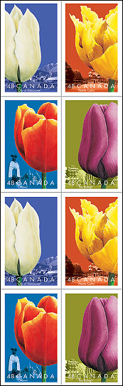 Carnet de 8 timbres autocollants (ouvert)