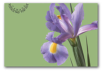 Cartes postales préaffranchies