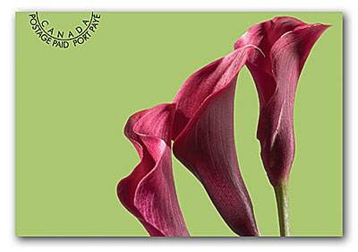 Cartes postales préaffranchies