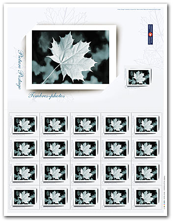 Feuillet de 20 timbres (photo d'album)