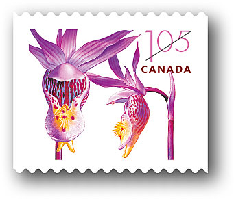 Rouleau de 50 timbres