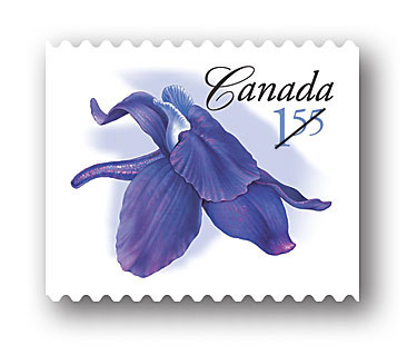 rouleau de 50 timbres - international