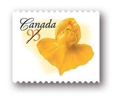 rouleau de 50 timbres - États-Unis