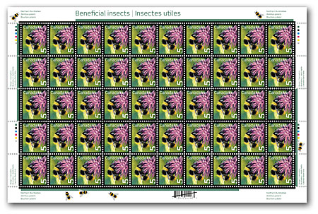 Pane of 50 stamps