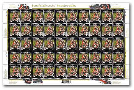 feuille de 50 timbres