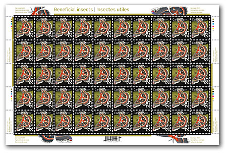 Pane of 50 stamps