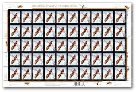 feuille de 50 timbres