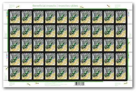 feuille de 50 timbres