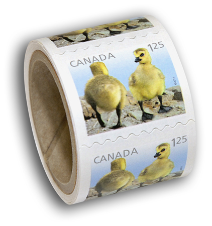 Coil of 50 stamps