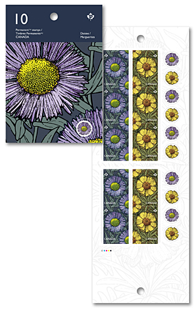 Daisies_BookletCombo