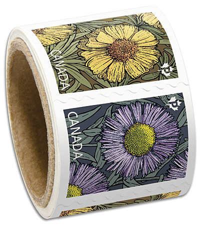Daisies_Coil50