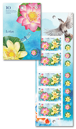 lotus_booklet_combo