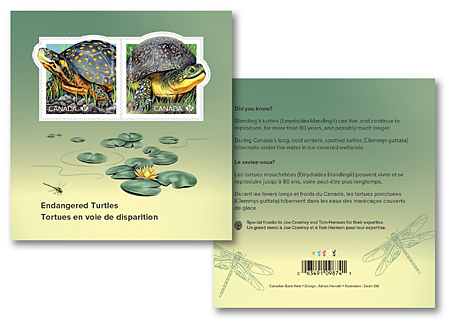 endangered-turtles_souvenir-sheet-combo