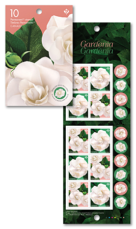 gardenia-booklet-combo
