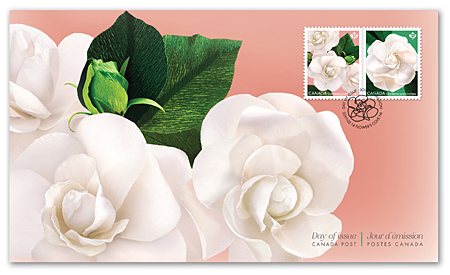 gardenia-ofdc