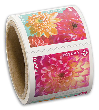 Coil of 50 stamps - Dahlia