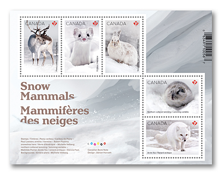 Bloc-feuillet de 5 timbres - Mammifères des neiges