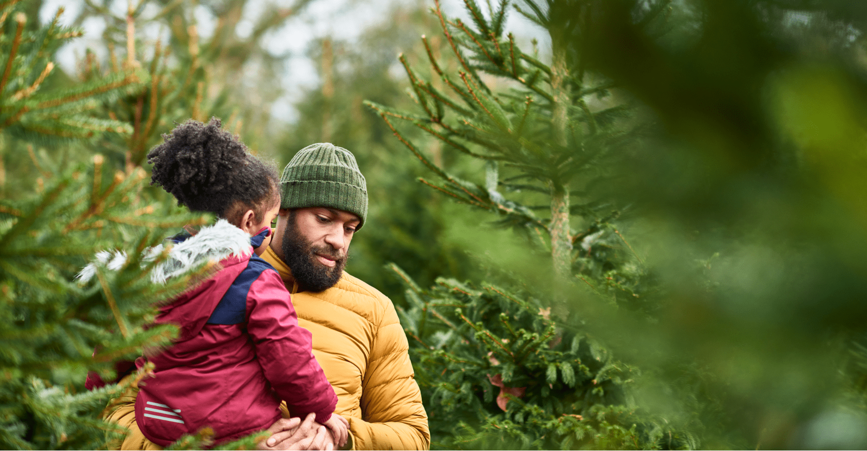 A father carries his daughter in his arms as they walk through a pine forest. 