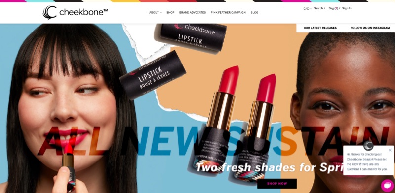 Le site Web de Cheekbone Beauty présente deux modèles de rouge à lèvres de l’entreprise.