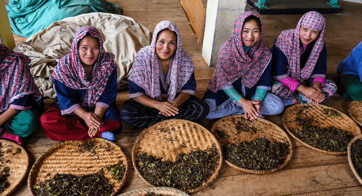 Des népalaises souriantes roulent à la main des feuilles de thé fraichement cueillies du jardin familial Jun CHiyabiri.