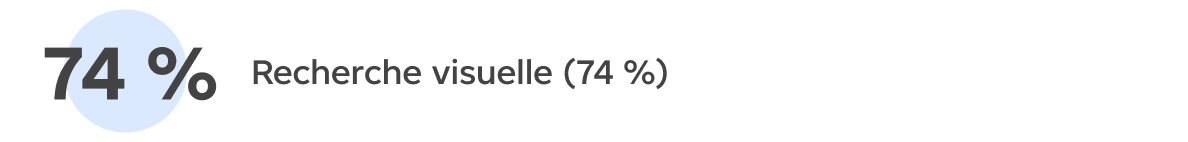 Recherche visuelle (74 %)