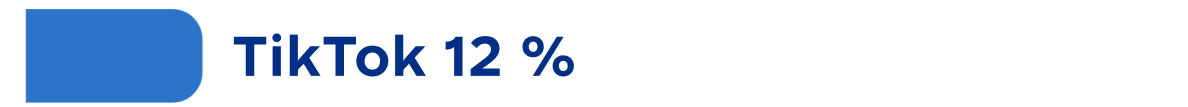 TikTok : 12 %