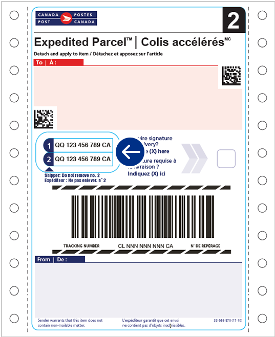 An example of an Expedited Parcel commercial shipping label with an address. There’s a circle indicating where the tracking numbers are found.