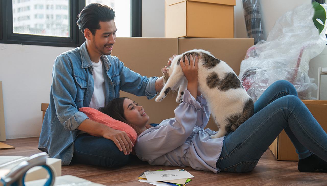 A smiling couple play with a cat on the floor. There is a small stack of mail beside them and stacked cardboard boxes in the background.