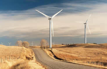 A country road surrounded by wheat fields with white wind turbines in the distance.