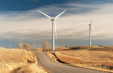 A country road surrounded by wheat fields with white wind turbines in the distance. 