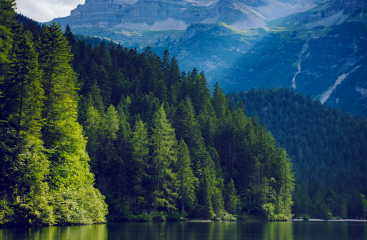 A lake reflects tall green trees. Taller mountains line the background.