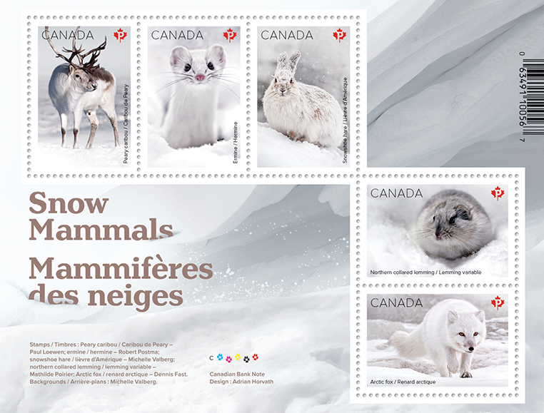 Snow mammals that turn white in winter featured on new stamps | Canada Post